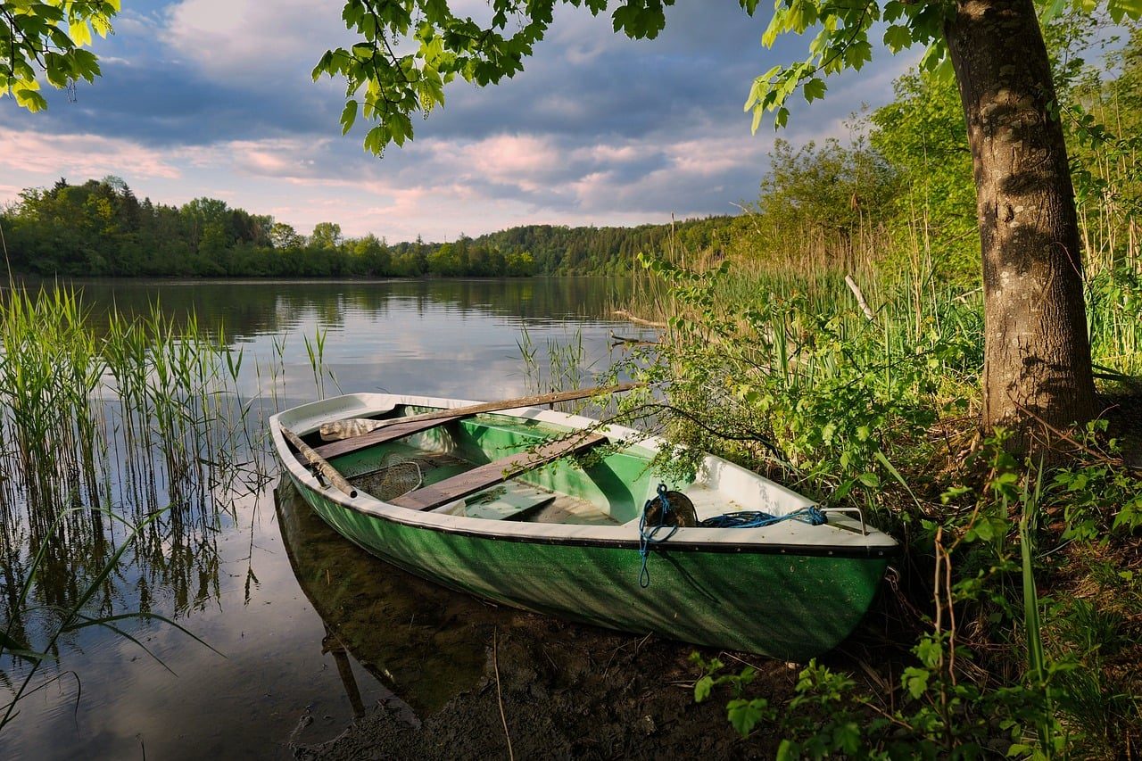 Čerstvá zelenina, ořechy a bylinky na dřevěném povrchu